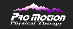 Pro Motion Physical Therapy